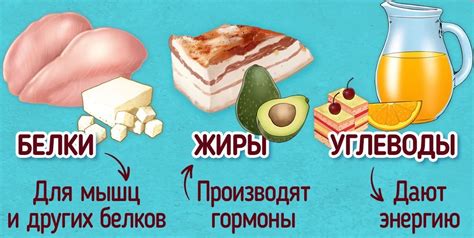 Гастрономические продукты и их роль в формировании вкусовых предпочтений