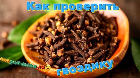 Гвоздики в воде: что это и как их ухаживать