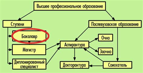 Где можно получить степень бакалавра