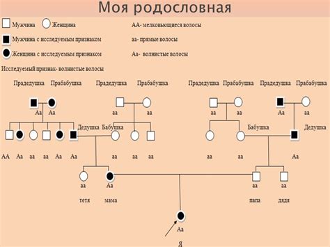 Генетика и родословная: ключ к чистокровности