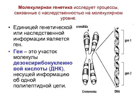 Генетика и связь с наследственностью