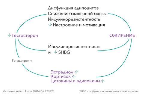 Генетическая предрасположенность и гормон ГСПГ