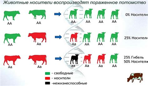 Генетические аномалии и выводы