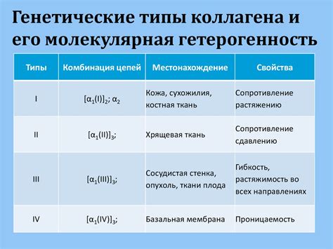 Генетические нарушения синтеза коллагена: