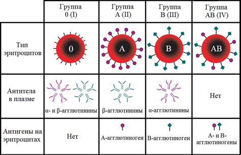 Генетические особенности и наследование группы крови