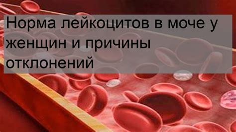 Генетические причины понижения уровня лейкоцитов у подростка