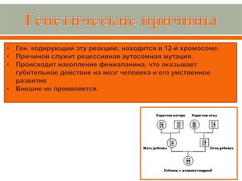 Генетические причины появления гена фенилкетонурии