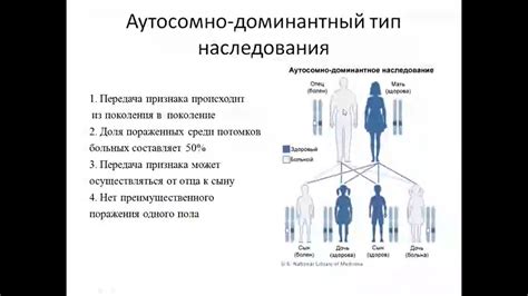 Генетические причины расширения зева