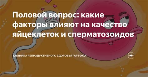 Генетические факторы, влияющие на отсутствие яйцеклеток