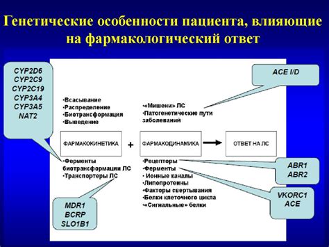 Генетические факторы, влияющие на функцию надпочечников