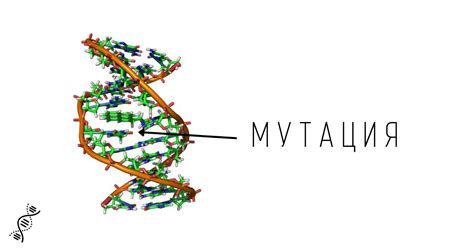 Генетические факторы и мутации