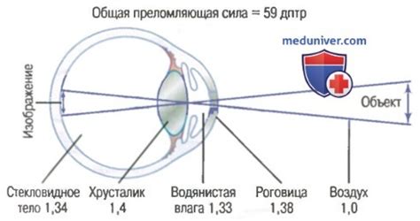 Генетические факторы и редуцированные глаза