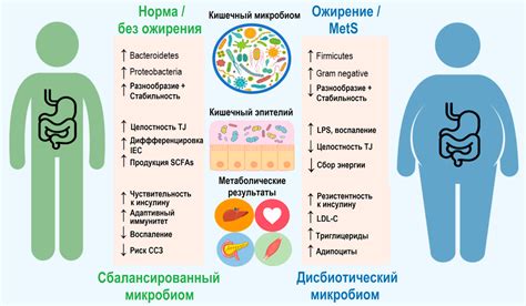 Генетические факторы и роль наследственности в развитии ожирения