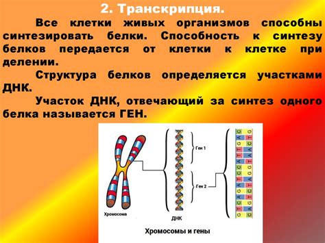 Генетический код: универсальность и его роль в эволюции