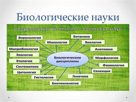 Генетический ряд: значение и роль в биологии