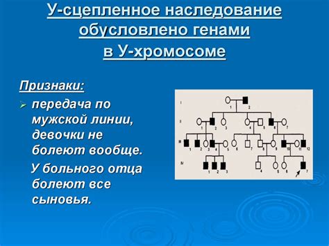 Генетическое наследование