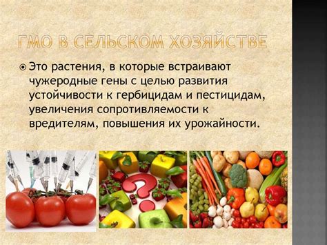 Генно-модифицированный продукт: определение и сущность