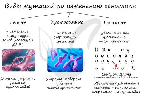 Геномные мутации и эволюция