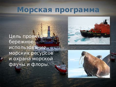 Географические и экологические особенности морской фауны Швеции