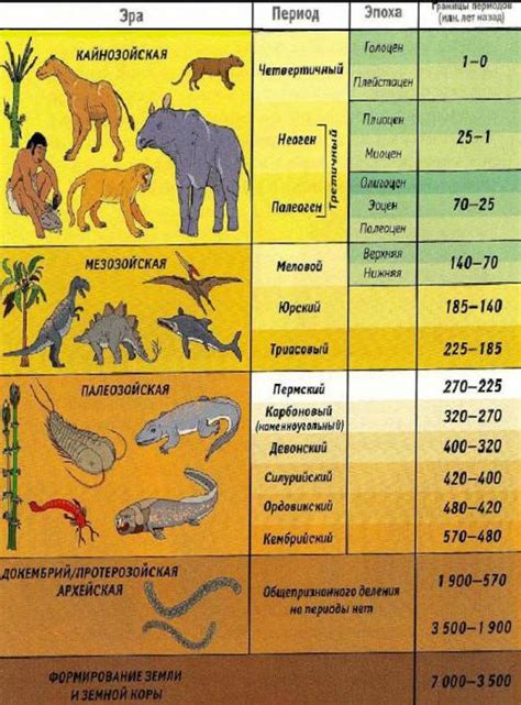 Геологическая история: понятие и значение