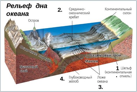 Геологическое значение ложа океана