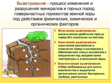 Геология и последствия геологических процессов