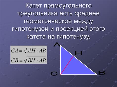 Геометрическое значение катета прямоугольного треугольника