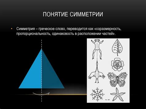 Геометрическое понятие двусторонней симметрии