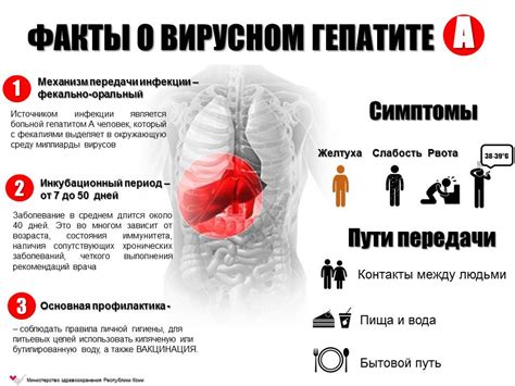 Гепатит С: основные факты о болезни