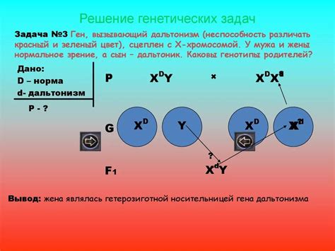 Гетерозигота как носитель генетических измеделений