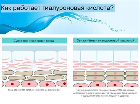 Гиалурон – о чем это? Как работает для кожи лица?