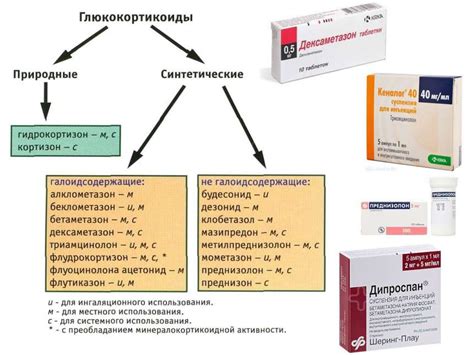 Гипозитивные препараты: механизм действия и виды эффектов