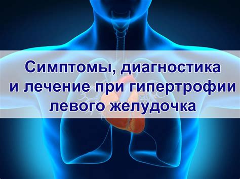 Гипоксия левого желудочка сердца: симптомы, причины и лечение