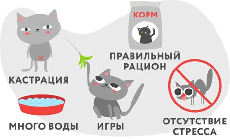 Гипорексия у кошек: определение и суть проблемы