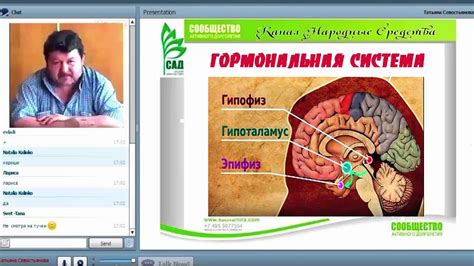 Гипоталамус и гормональная система