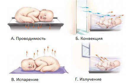 Гипотермия у подростков: методы лечения и профилактика