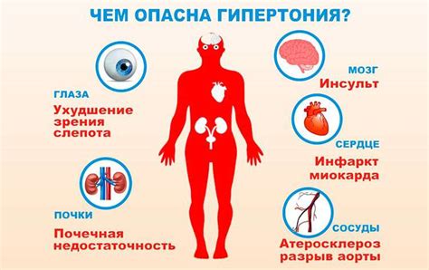 Гипотоник – повышенное давление: советы, рекомендации