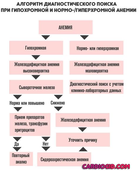 Гипохромия в крови у женщин