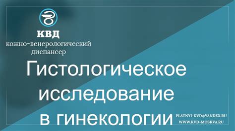 Гистологическое исследование в гинекологии