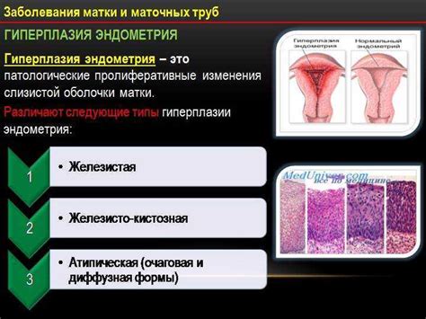 Гистологическое исследование эндометрия и эндоцервикса