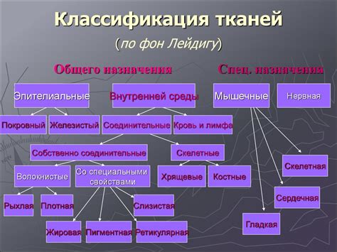 Гистология: основные понятия и методы