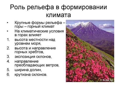 Главная роль рельефа в природе: климат, гидрология и растительность