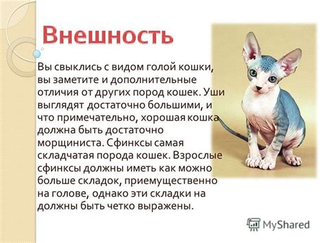 Главные отличия от других пород