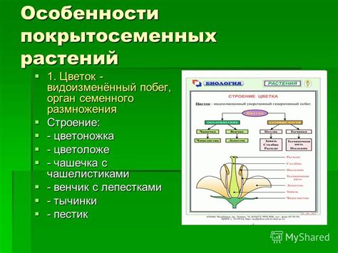 Главные признаки вторости