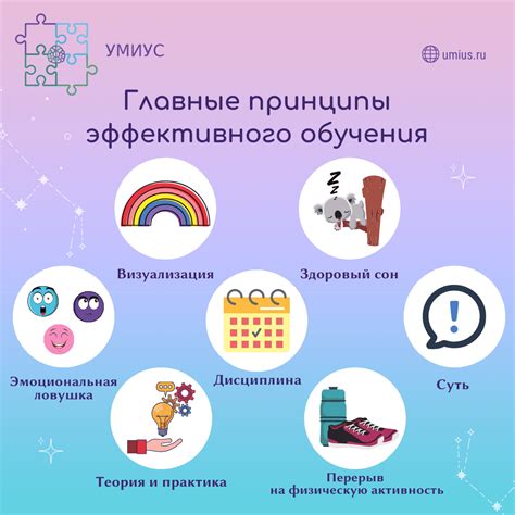 Главные принципы эффективного обучения