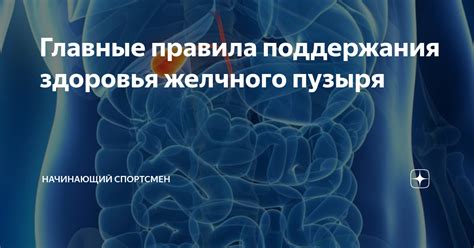 Главные проявления желчного языка