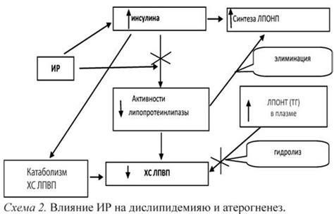 Главные симптомы синдрома дислипидемии