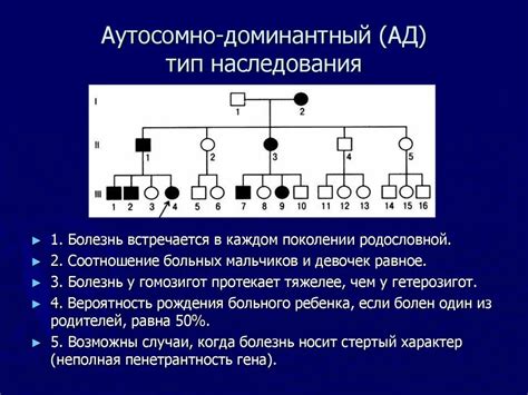 Главные черты наследования по аутосомно доминантному типу