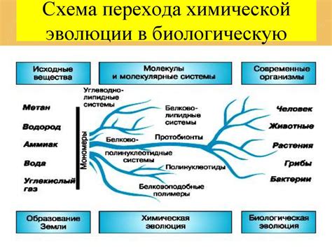 Главные этапы химической эволюции