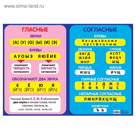 Гласные звуки и гласные буквы: различия и сходства